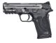 Smith and Wesson M&P9 M2.0 Shield EZ