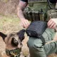 K9 HANDLER TRAUMA KIT